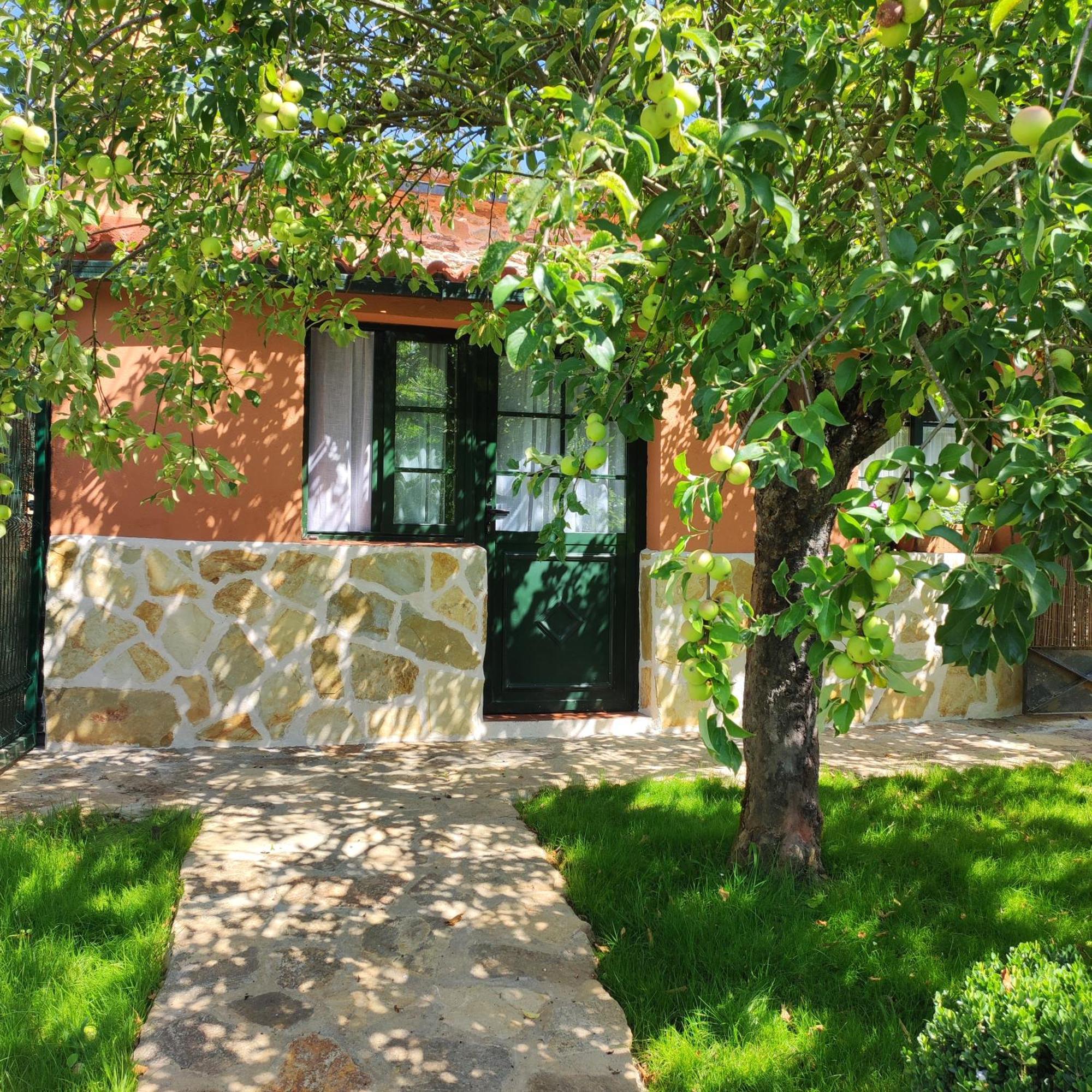 Casa Dos Cregos Apartment Bascuas Bagian luar foto